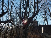 26 Sul 571 tra faggi secolari